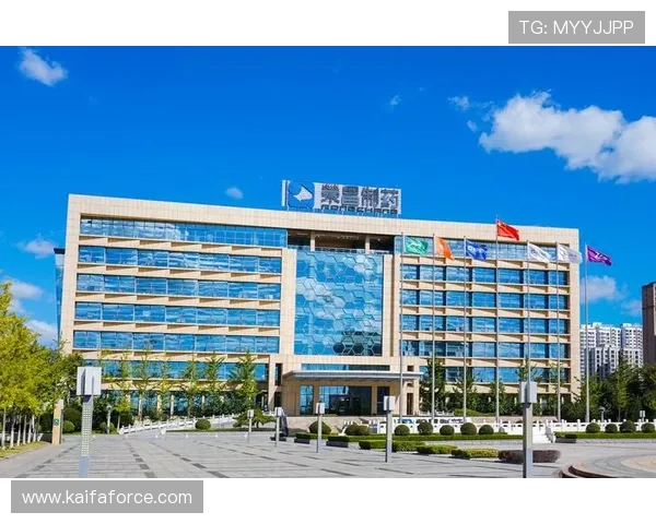 凯发真人集团怎么样，平台的技术创新与用户体验提升策略