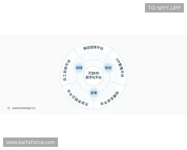 凯发PT电子游艺用户体验优化方案及常见问题解决指南